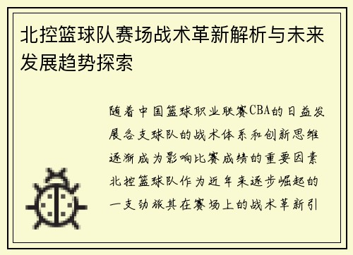 北控篮球队赛场战术革新解析与未来发展趋势探索